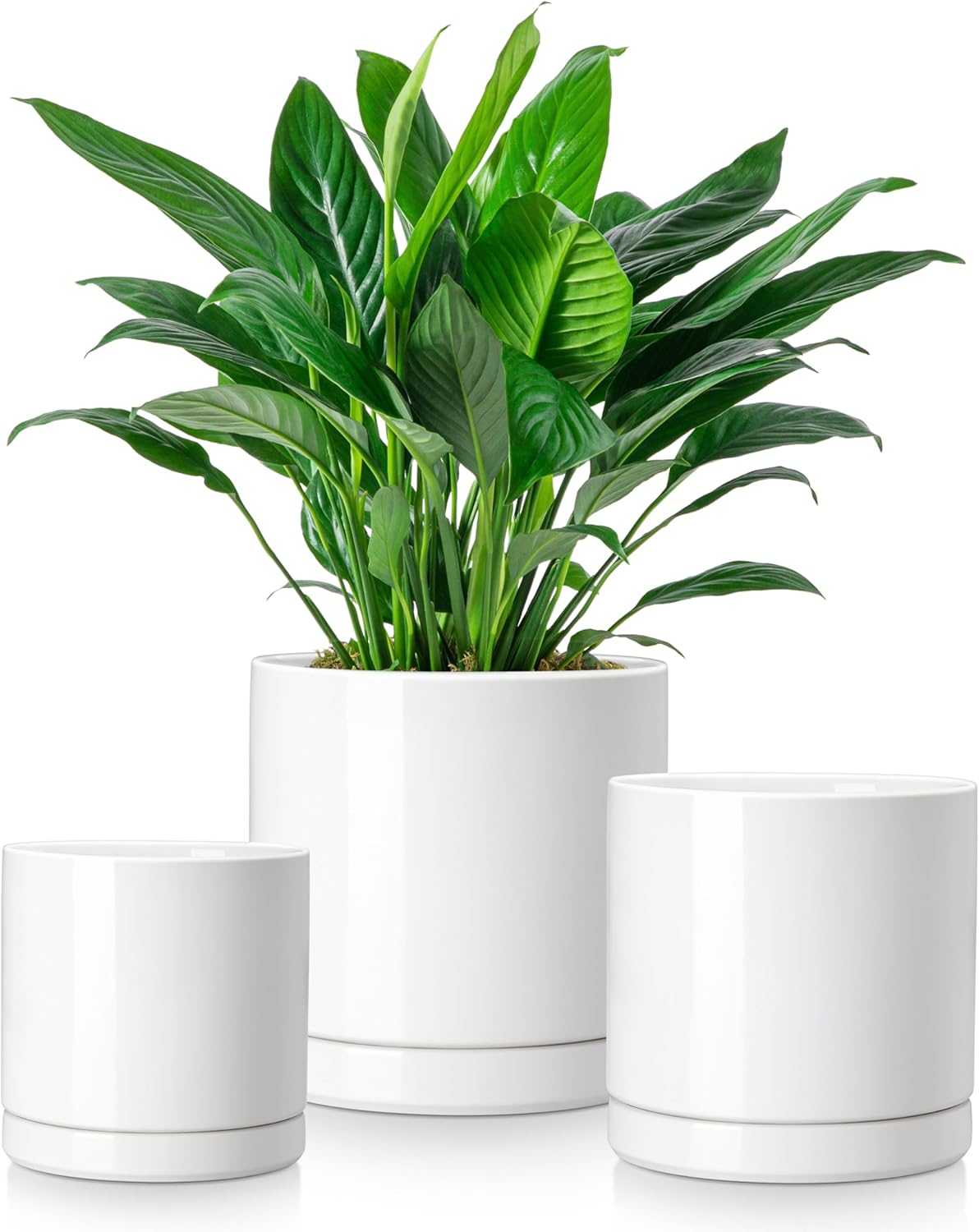 Ceramic Plant Pot Set 3-Pack