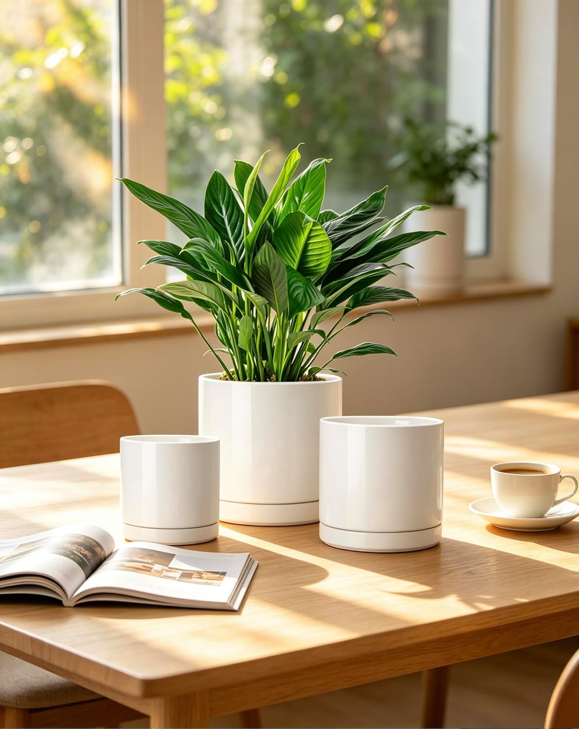 Ceramic Plant Pot Set 3-Pack