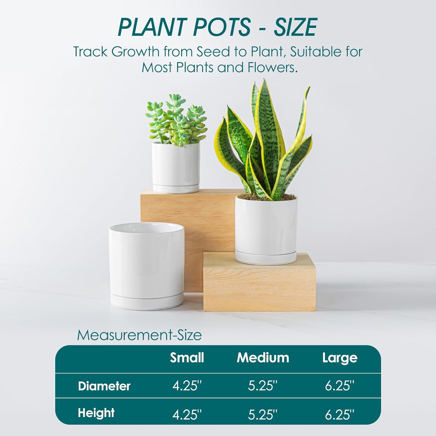 Ceramic Plant Pot Set 3-Pack