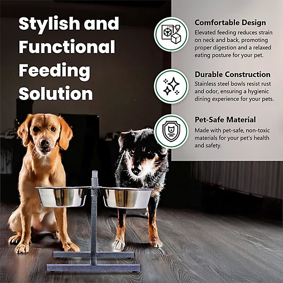 Stainless Steel Pet Bowls Set