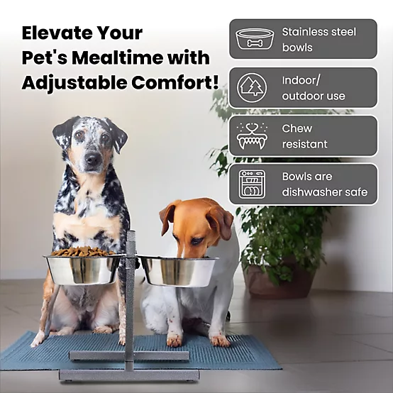Stainless Steel Pet Bowls Set