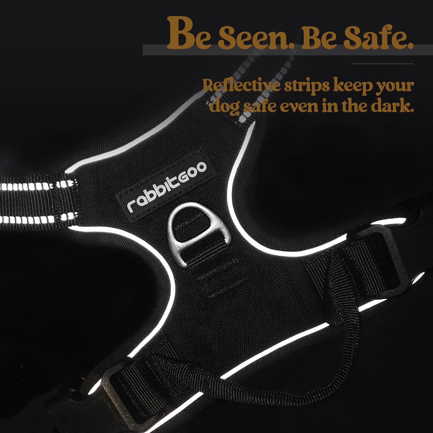 No-Pull Dog Harness with Leash