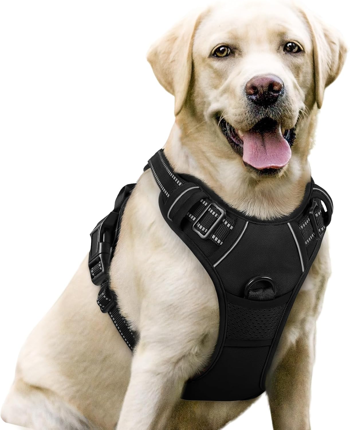 No-Pull Dog Harness with Leash