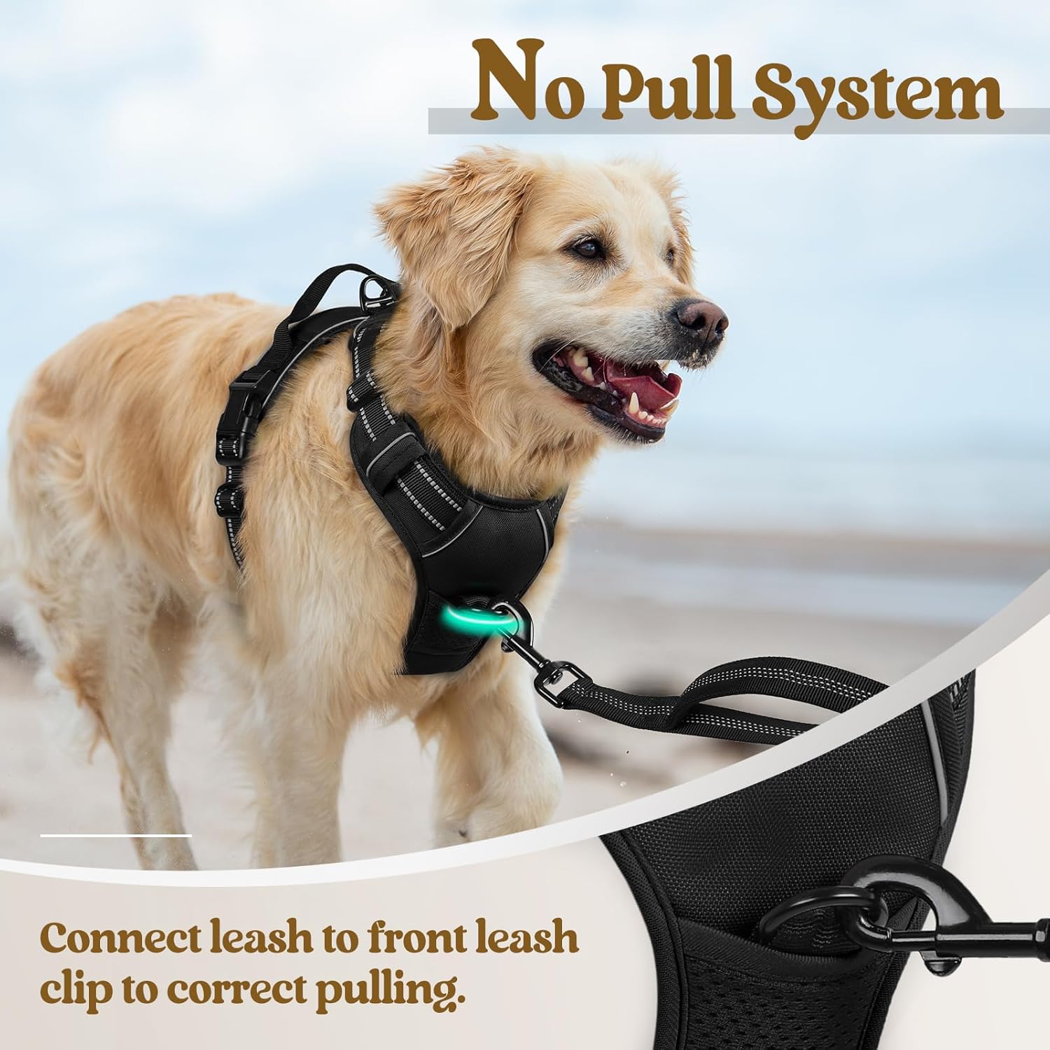 No-Pull Dog Harness with Leash