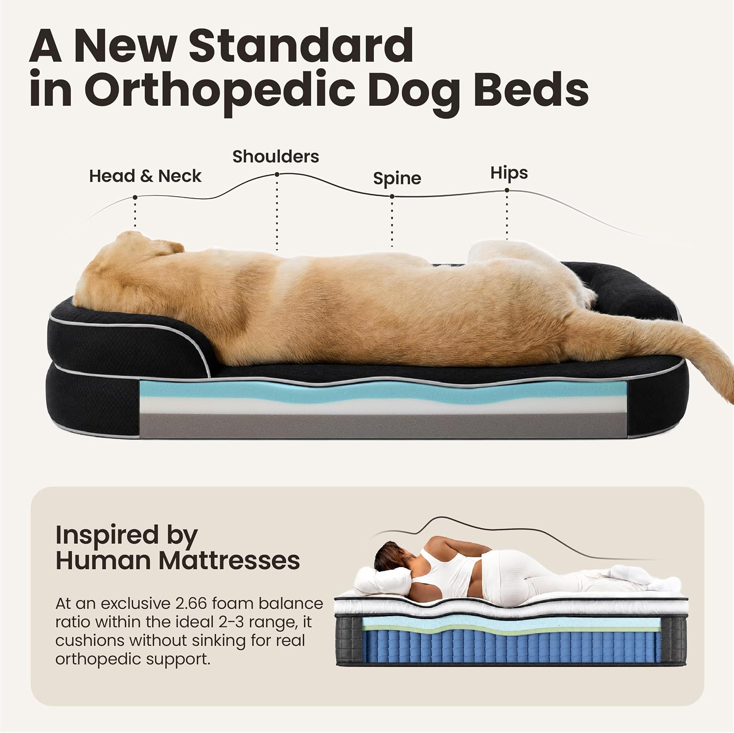 Orthopedic Dog Bed Large