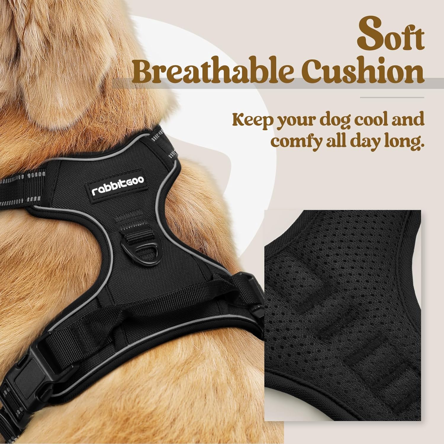 No-Pull Dog Harness with Leash