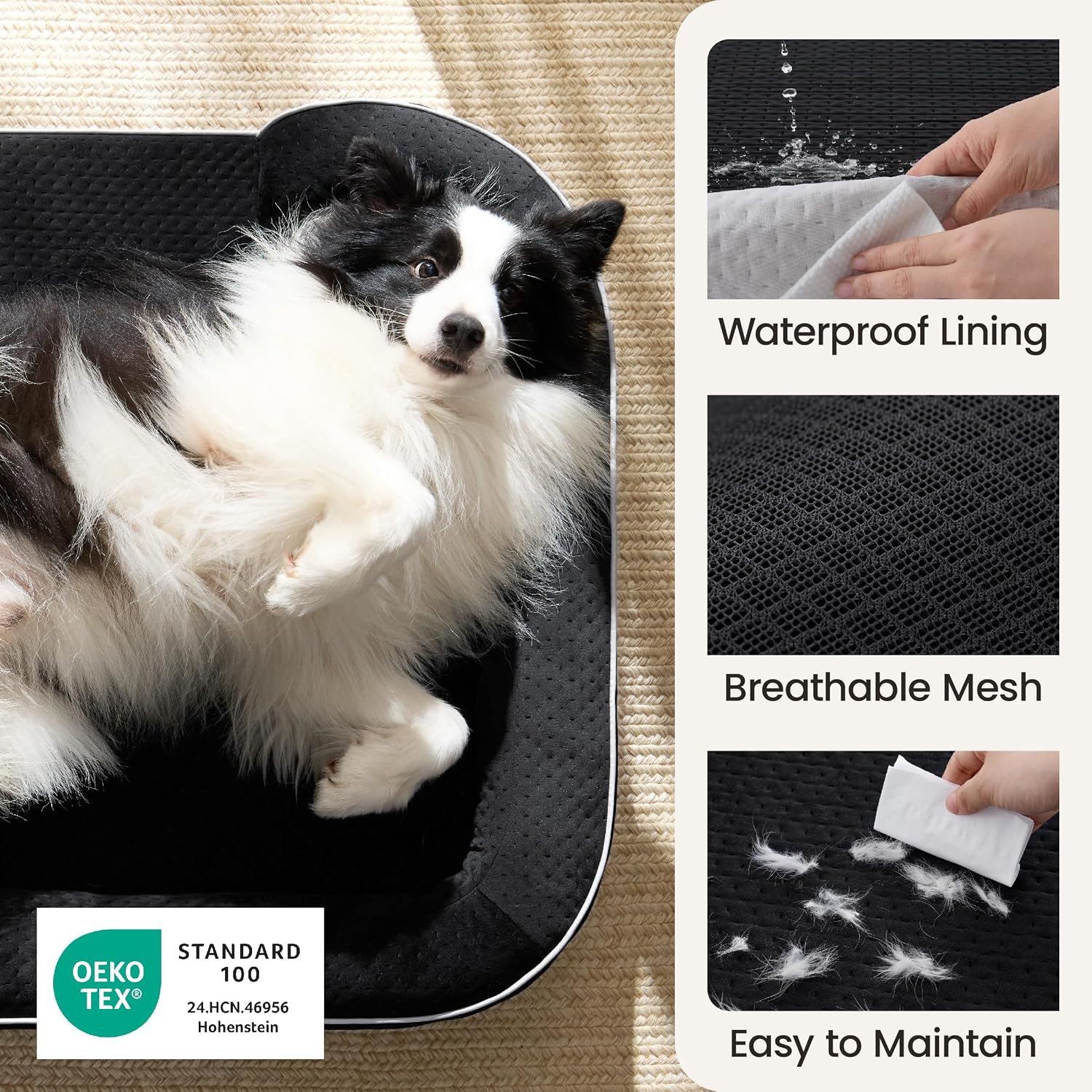 Orthopedic Dog Bed Large